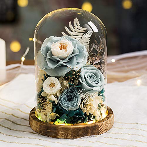 Amazon.co.jp: ドライフラワー プリザーブドフラワー クリアガラス