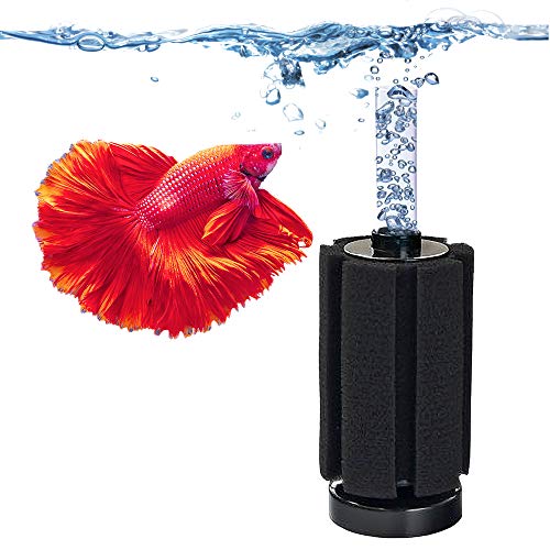 Jor Betta Sponge Filter, Works For Tropical Fish & Breeder Aquarium, Slow Current Fish Tank Filter, A Must-Have For Fry And Small Fish Aquarium Hobbyist, Airline Tube Not Included, 1 Pack #TOP5