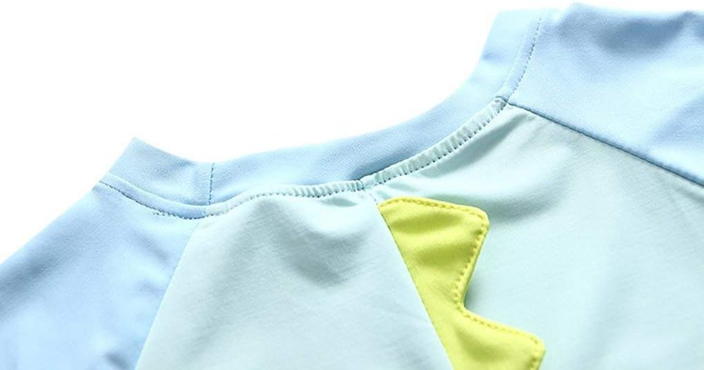 Baby Toddler Boys Two Pieces Swimsuit Set Swimwear Dinosaur Bathing Suit Rash Guards with Hat UPF 50+