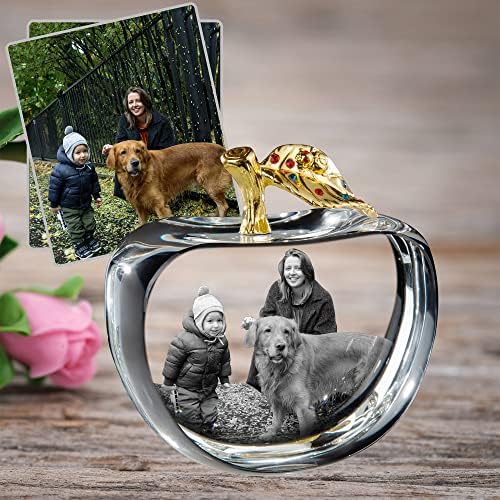 Personalized Pet Memorial, Customization 3D Picture Dog Memorial Gifts for Loss of Pet, Tabletop Pet Keepsake Loss Gifts 3D Picture Crystal Frame with LED Display Base (Apple-S)