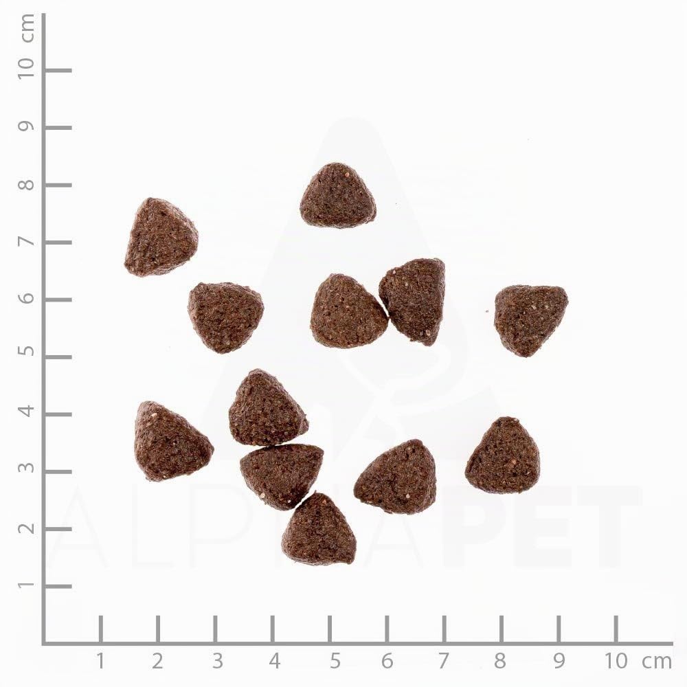 WILDES LAND – Wild | Trockenfutter mit extra hohem Fleischanteil und natürlichen Zutaten für ausgewachsene Hunde. Alleinfutter ohne Zusatzstoffe im Beutel | 12kg Wild