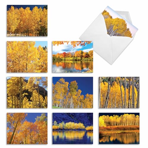 Image of The Best Card Company - 10 Beautiful Note Cards Blank (4 x 5.12 Inch) - Fall and Autumn Season, Boxed Notecard Assortment (Not Foil, Layered, or Sparkled) - Golden Foliage M1729BN