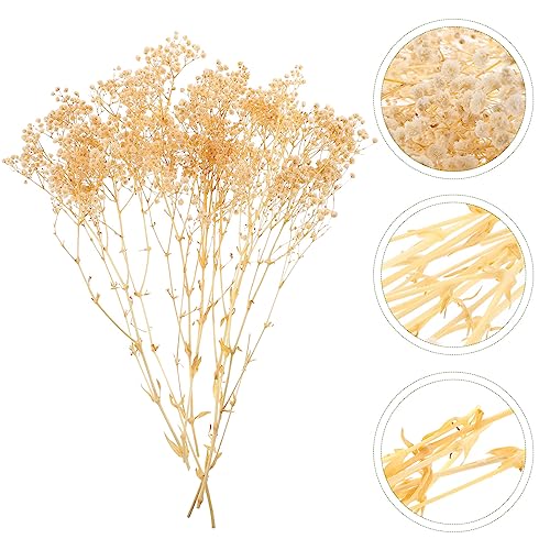 Ramo de flores secas Babysbreath decorativas blancas miniatura 5