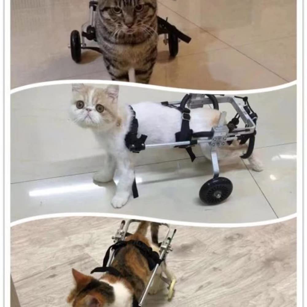 REMEK Passeggini Sedia A Rotelle per Riabilitazione delle Zampe Posteriori di Cane E Cuccioli, Carrello per Cani Anziani Feriti Disabili, Carrellino Adatto per Zampe Posteriori 8 A 30 Cm