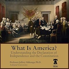 What Is America? Understanding the Declaration of Independence and the Constitution Audiobook By Jeffrey Sikkenga cover art