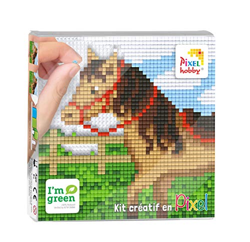 ZYZYZK Pixel PX44016 - Kit de 12 x 12 cm.