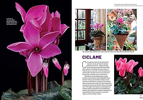 Coleção Jardim & Lazer - Edição 1 - Plantas para Dentro de Casa: Flores, Folhagens, Dicas de Cultivo