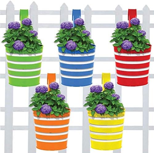 Truphe Round Ribbed Railing Planters Flower Pots Multicolour Pack Of 5 Buy Online At Best Price In Uae Amazon Ae
