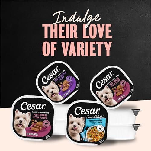 Cesar Classic Loaf in Sauce Wet Dog Food, Meaty Selects, 3.5 oz, 36 Count — view 6