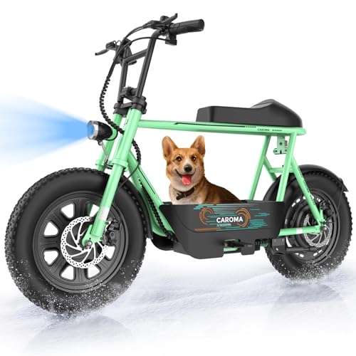 Caroma Peak 800W Electric Scooter with Seat, 16" Fat Tire