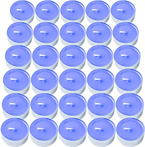 Decorrack 30 Tealight Candles, Blueberry Scented, Pleasant Fragrance Candle, Long Lasting Air Freshener (Pack Of 30) #TOP12