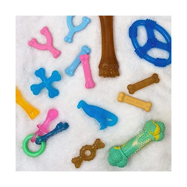 Puppy Chew Toy and Treat Starter Pack
