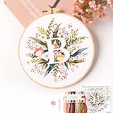 REEWISLY Embroidery Kit for Letter B,Embroidery Starter Kit with Pattern and Instructions,1 Plastic Embroidery Hoops,Color Threads,Instructions and Needles,DIY Adults Embroidery, Video Teaching