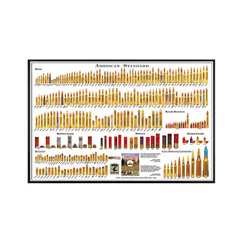 american standard bullet poster - Aidtamar American Bullets Chart Posters Bullet Type Chart Canvas Painting Education Chart Wall Art Prints Study Room Office Decor 50x70cmx1 No Frame