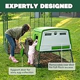 Omlet Eglu Cube Large Chicken Coop | Easy to Clean Plastic Chicken Tractor | The Most Secure Hen House for Complete Peace of Mind | Weatherproof, Cool in Summer and Warm in Winter | Green - Image 3