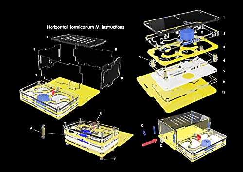 ZSBY Mier Farm Insect Ant Villa Ant-druif M Vliegtuig Vocht Met Voedingsgebied Mier Nest, mier Boerderij Acryl, insect… - Afbeelding 6