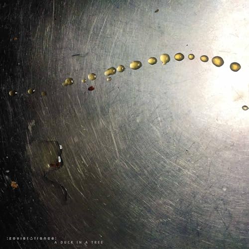 A Duck in a Tree 2026-02-21 | Abnither to There