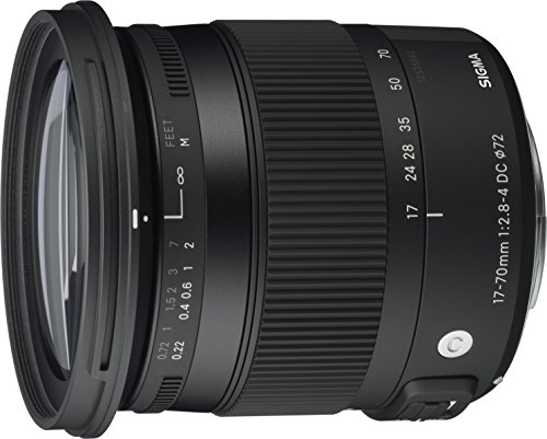 Sigma 17-70mm f/2.8-4 DC Macro OS (Optical Stabilizer) HSM Lens for Canon EOS Cameras #1