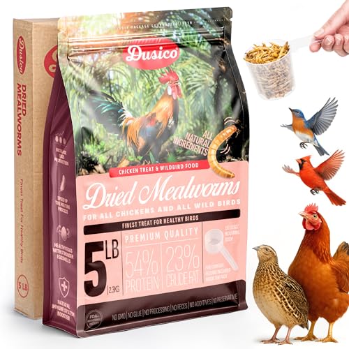 Dusico® Dried Mealworms 5LB Bag of Premium High Protein Non-GMO Chicken Treat & Wild Bird Food - Mealy Worms Additive for Bluebirds Feeder, Poultry, Ducks, Quail, Reptiles & Fish