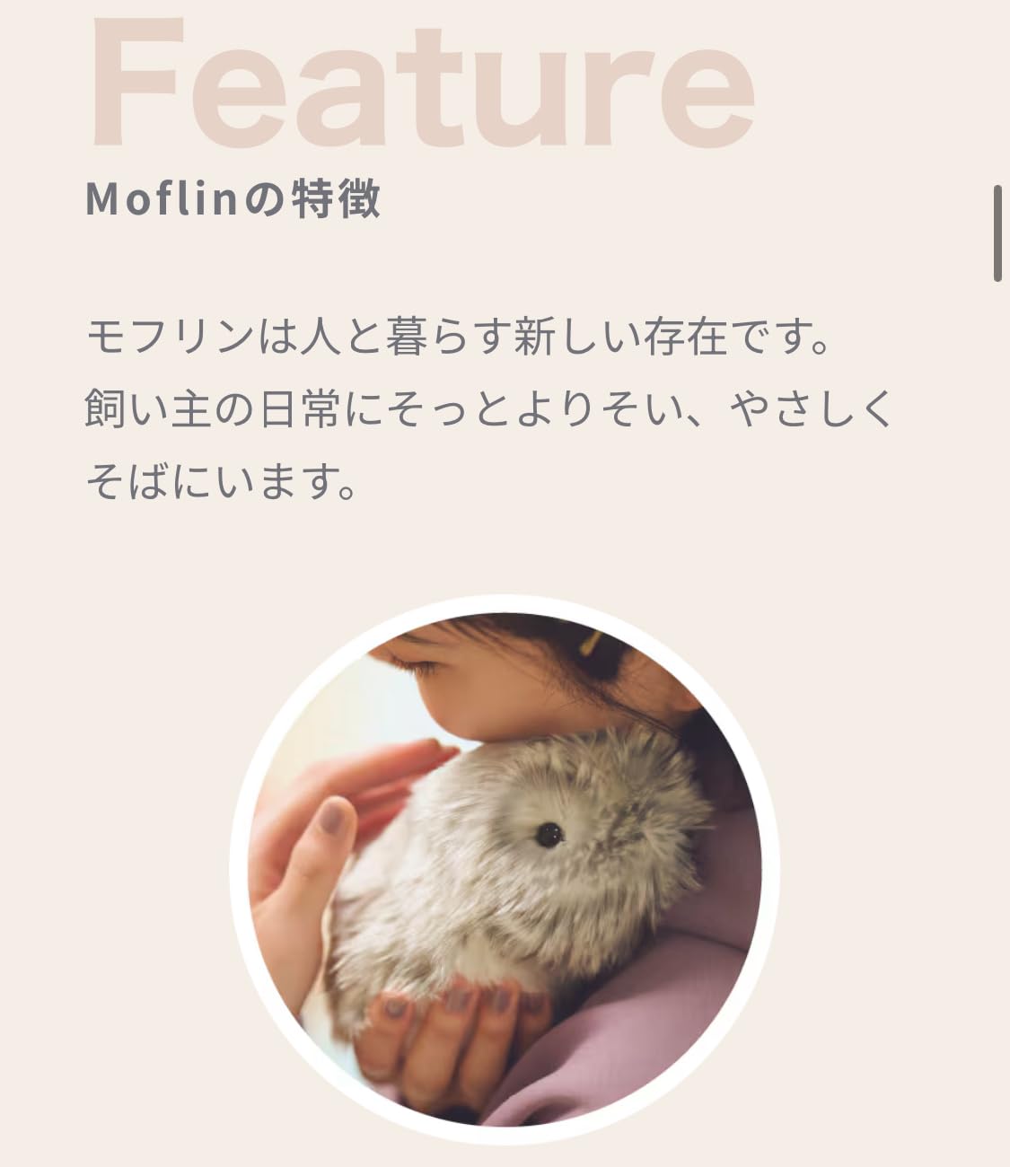 Moflin モフリン シルバー CASIO AIペット Moflin ( SILVER ) | Robot Pet with Adaptive AI | CASIO