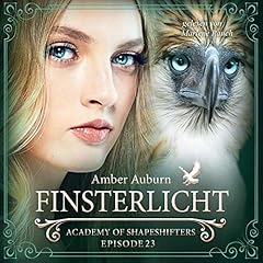 Finsterlicht cover art