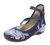AvaCostume Womens Embroidery Rubber Sole Summer Wedges Sandals Fashion Dress Shoes for Cheongsam, Blue, 38