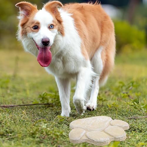 Piedra conmemorativa para mascotas resistente al aire libre LOLIPPYY 5