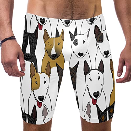 Bañador jammer para hombre con estampado Bull Terrier ideal para entrenar en la playa
