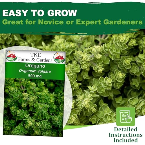 TKE Farms & Gardens - Oregano Seeds for Planting, 3000+ Non-GMO Heirloom Seeds, 500mg, Open Pollinated Perennial Herb, Origanum vulgare, for Indoor & Outdoor Gardens, Qty 1 - Image 2