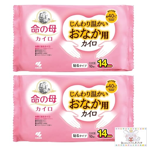    JC  Ȃp \^Cv 10 (2)