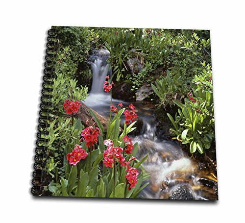 Livre de mémoire Yankee Boy album de collection fleurs sauvages 3drose