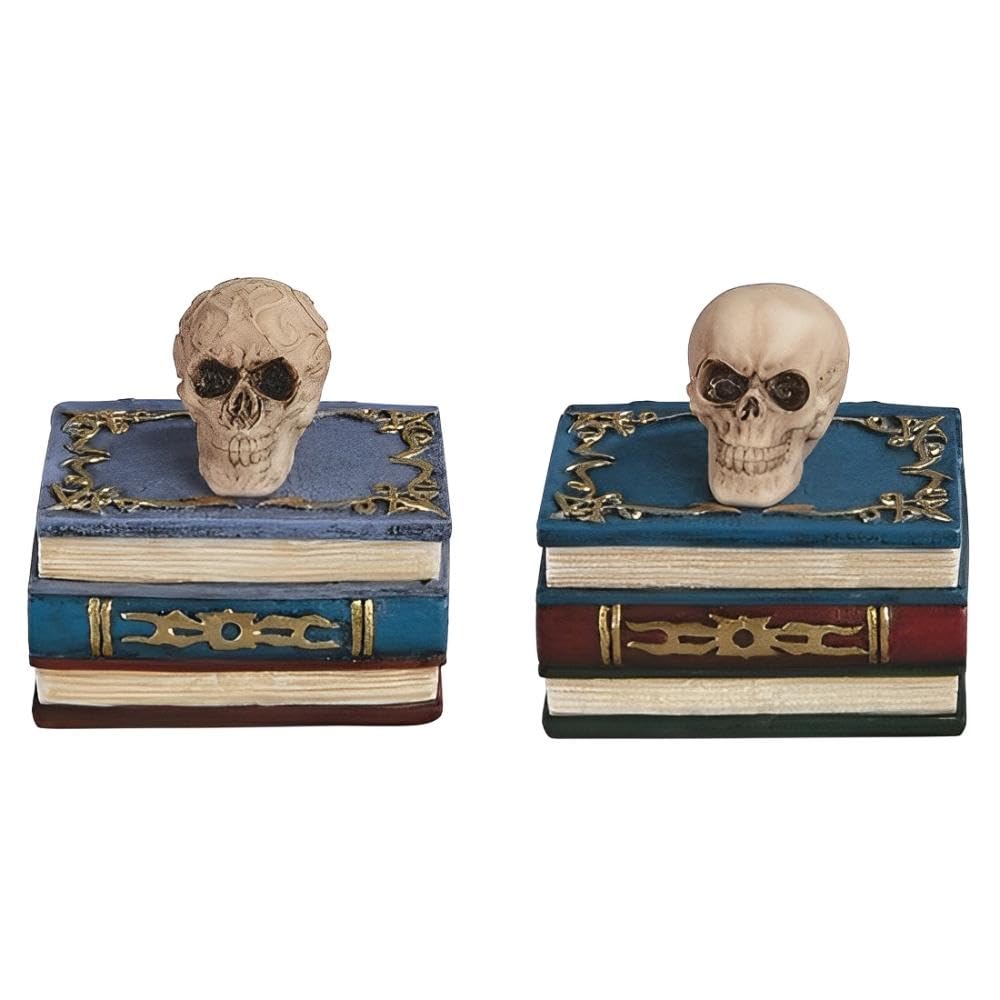 Tête de mort sur livre ICE ARMOR lot de 2 statues pour étagère vide