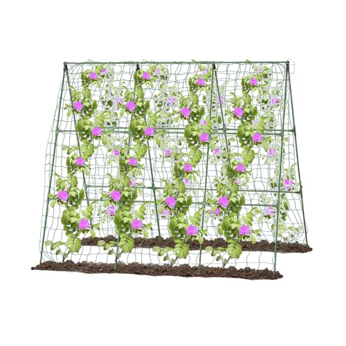 A-Type Cucumber Climbing Pergola, 50in, Garden Plant Support