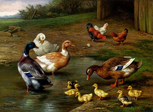 Peintures d'animaux champêtres pour réchauffer l'ambiance d'une maison de campagne