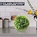 WHW Whole House Worlds Grammercy Grass Ball, 6 Inch Diameter, Lush Green, Artificial Topiary Bowl Filler Greenery Globe, Faux New Growth Texture, Reproduction, Plastic