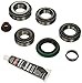 Timken DRK315 Light Duty Differential Rebuild Kit
