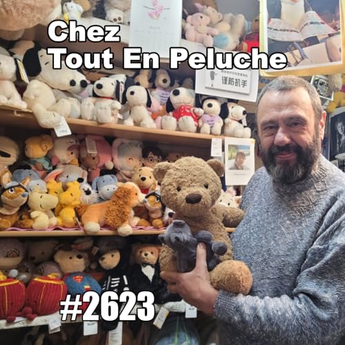 Que faut-il pour aimer les peluches&thinsp;? (Teddy Bear Shop Paris)