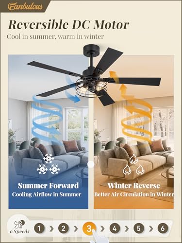 Image of Fanbulous 48 Inch Farmhouse Rustic Ceiling Fan with Light & Remote