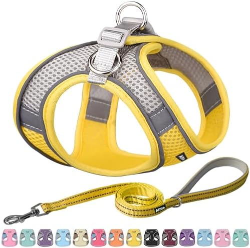AIITLE Step-in Dog Harness, Collar & Leash Set - No Pull Adjustable Vest For Small To Large Dogs (Pink Gradient, S) - View #3
