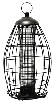 Top 5 Squirrel Proof Nut Feeders That Will Change Your Backyard Experience 2 squirrel proof nut feeder