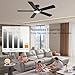 GJeg Ceiling Fans with Lights, 52 Inch Low Profile Ceiling Fan with Light and Remote, Flush Mount Ceiling Fan, 3CCT, Dimmable, Noiseless, Ceiling Light Fan for Bedroom, Indoor/Outdoor Use,Black