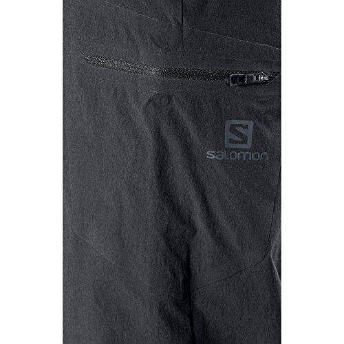Salomon Men's Wayfarer Pant4