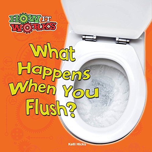 What Happens When You Flush? (How It Works)