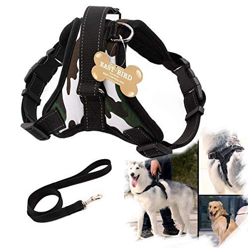 Best Dog Harness Canada in 2022 My Dog Training Collar