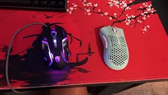 Amazon.com: Pulsar x Quiccs Limited Edition - Xlite v4 Wireless