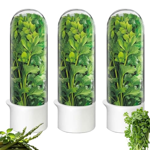 Herb Saver Cilantro Container for Refrigerator