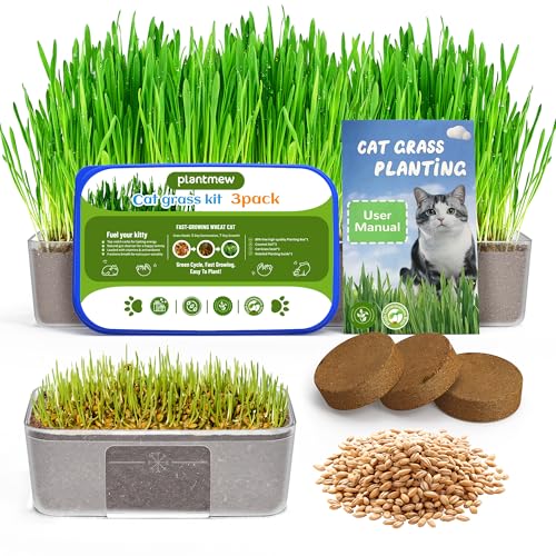 Cat Grass Growing Kit for Indoor Cats Fast Growing (3-7 Days Harvest) Wheat Seeds BPA-Free Planter & Soil Helps Hairball Control Digestion & Fresh Breath Green Fresh (3 Pack)