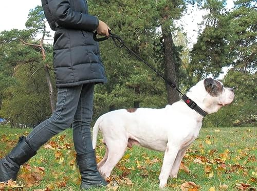 Hundeleine mit bequemen gepolsterten Griff,2M Starke Hunde Trainingsleine mit angenehm Gepolstertem Griff,Reflektierenden Streifen für Mittelgroße und Große Hunde Aller Größen