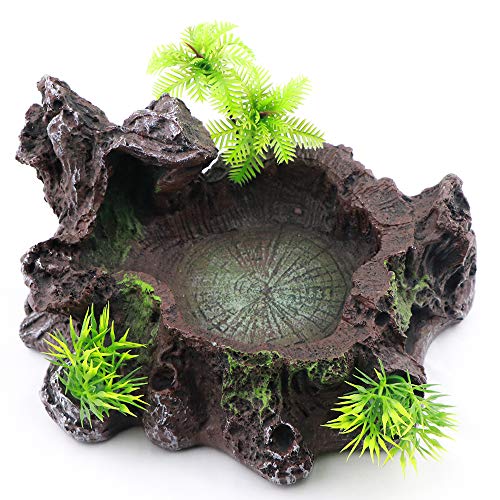 Aqua KT Reptile Terrarium Water Food Bowl Dish Tree Trunk Design for Amphibian Rock Decoration