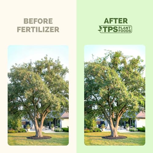 Fertilizante Líquido para Nogales 8 oz miniatura 3